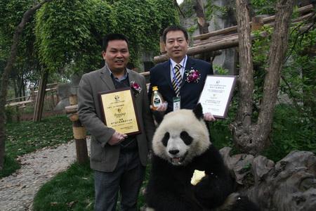 A Bee Company Generously Shares    Honey    with the National Treasure, the Giant Panda