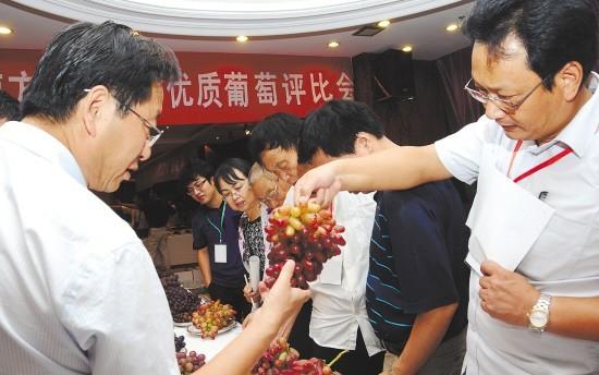 Huangtu Town hosted grapes    comparison and appraisement meeting