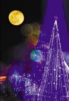 The highest Christmas tree of Jiangyin appeared last night