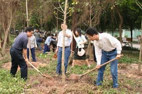 SCUT Party members plant trees on campus