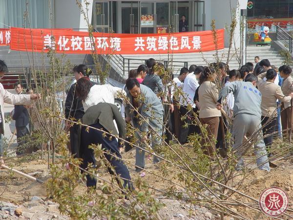 Tree Planting Activity Held at NUC