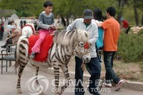 Changchun Botanical and Zoological Garden