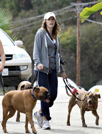 Celebrity fashion, dog walking