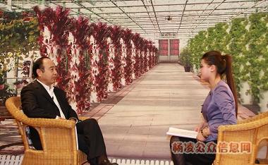 Mr. Liang Hongxian Gave an Interview to Journalists from CCTV.com