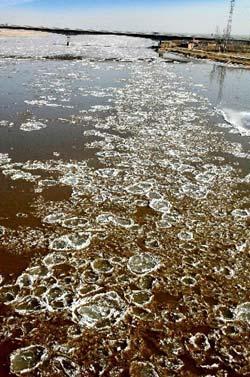 Ice on Yellow River begins to melt