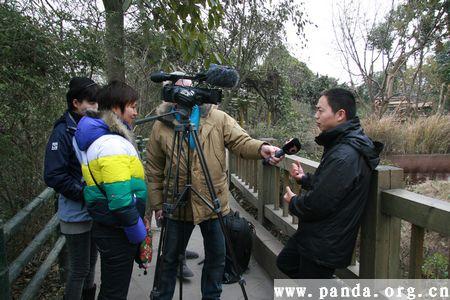 FinlandTelevision MTV exclusive Interview with the First-line Staff in Charge of Panda breeding