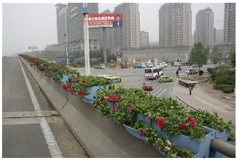 11 Bridges Are Beautified in Lixia District