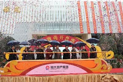 Chongqing Evergande Yayuan Launched to Market on New Year   s Day Achieved the Sales Amount of over 300 Million yuan