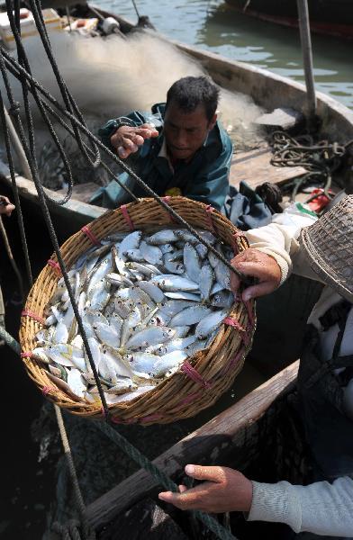 Annual summer fishing ban takes effect in S China