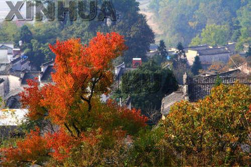 Tachuan: picturesque village