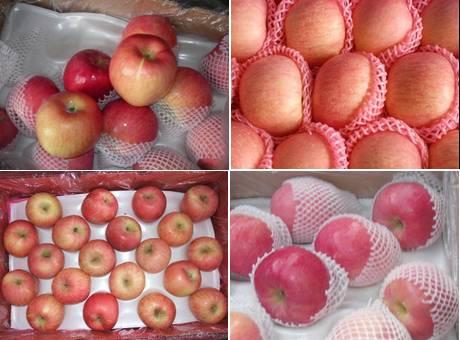 China: Yantai Quanshi 'the capital of apples'