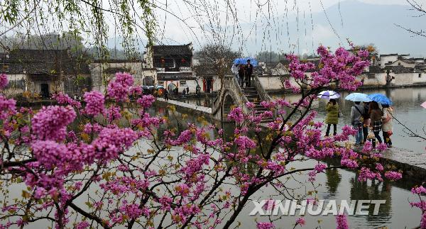 Spring wakes up Hongcun, Anhui