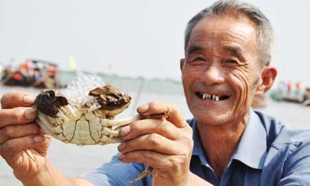 Crab farmers shelling out to protect product