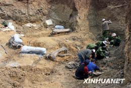 CAS experts: Shandong dinosaur fossil field ''world's largest''