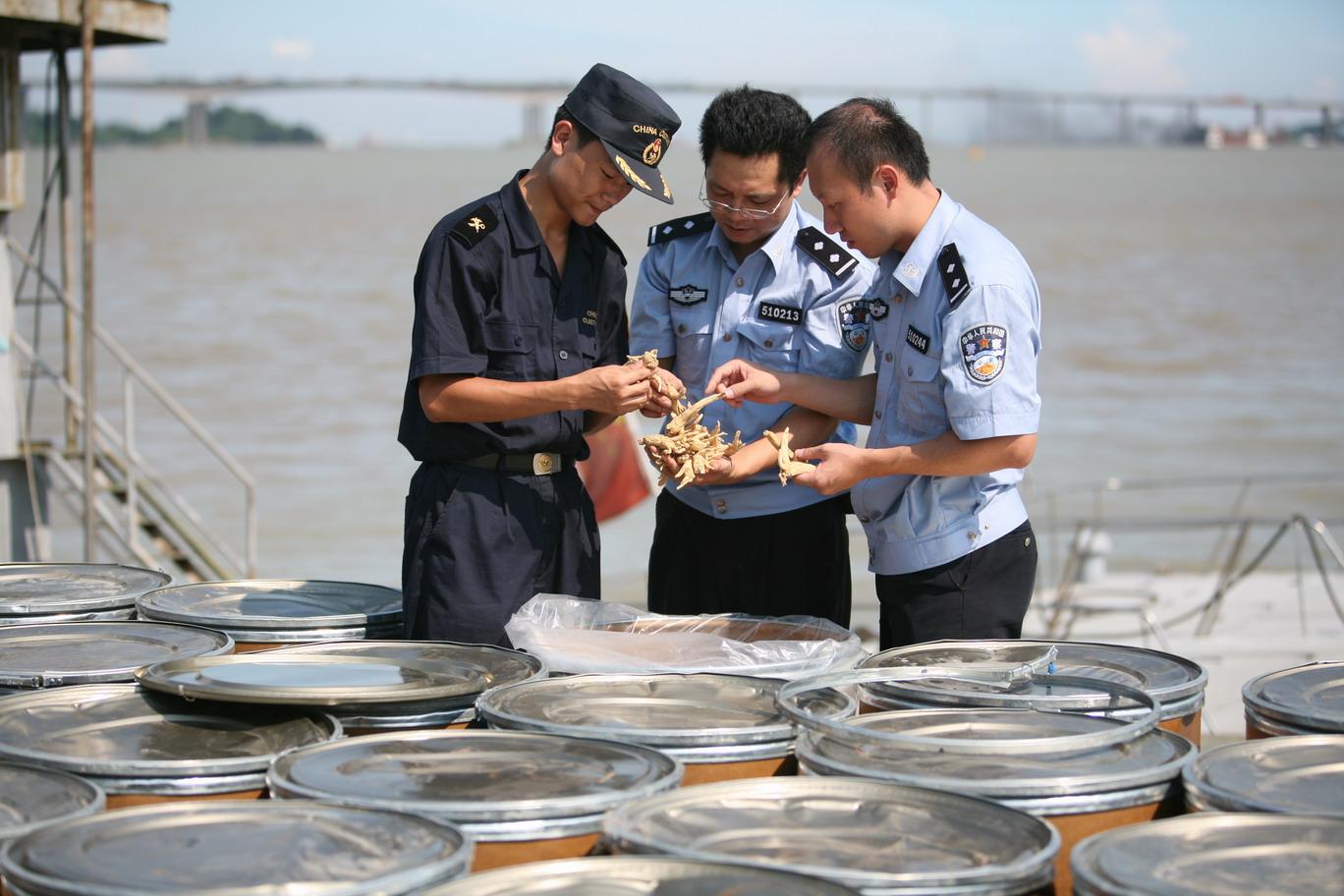 Guangzhou Customs Intercepted and Captured Smuggled Gen-seng over 1 Ton