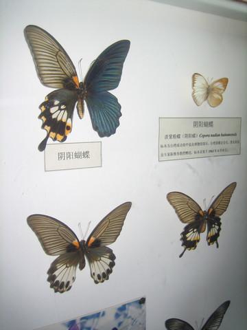 Butterfly valley  Hainan Sanya of China