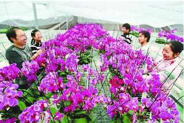 Graduates start flower enterprises
