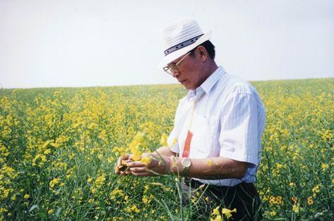Promoting Rapeseeds Industry Development by Transforming Mode of Development