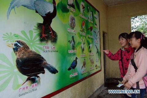 Guangdong launches 30th Bird-loving Week