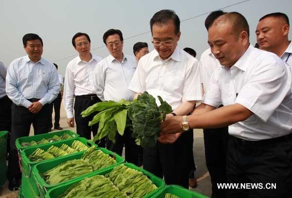 Chinese Premier urges efforts for quick summer grain harvest