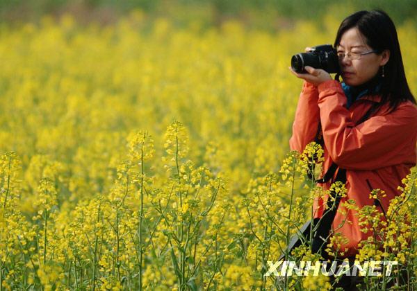 Shexian: Rapeseed flower tourism in spring