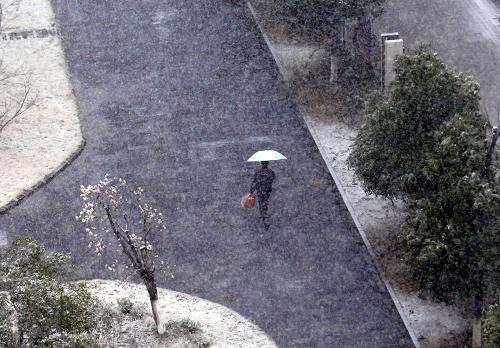Spring snow falls in Hefei