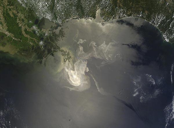 New Strain of Bacteria May Help Clean Oil Spill: Study