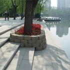 Travel in Youth Lake Park  Jining of China
