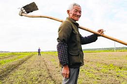 Farm Wages Trip Beijing's March Against Inflation