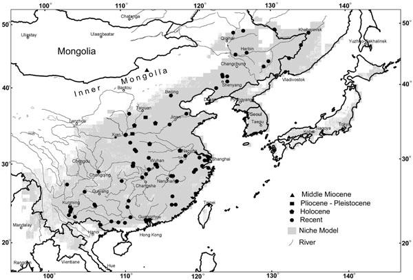 Oldest-known Black Carp Found in Mongolian Plateau