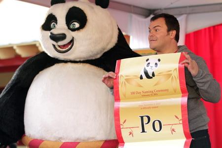 Baby panda at Zoo Atlanta is named Po