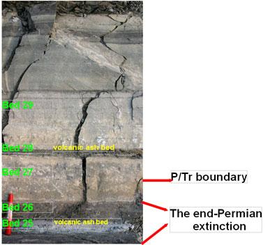 A New Hypothesis to Explain the Late Permian Mass Extinction