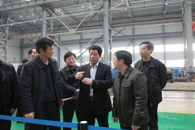 Changsha Municipal Officials Visits CIE Industrial Park