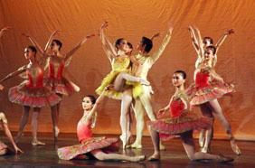 Embracing elegant arts, enjoying ballet performance