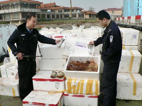 Sub-bureau of Anti-Smuggling of Panyu Customs House intercepted and captured smuggled seafood