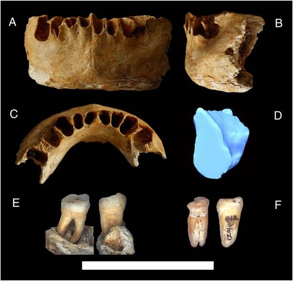 Human Remains from China Indicate Modern Human Emerged Much Earlier Than Previously Thought in East Asia