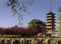 Plum Li ancient town      Gather the sand tower)  Travel  Suzhou of China