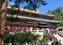 Travel in Tanzhe Temple  Beijing of China