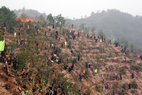 Municipal Leadership Participated in National Compulsory Tree-planting with Cadres and the Masses