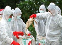 China Approves Anti-bird Flu Drug for Human Clinical Trial