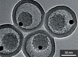 Nanomaterials: A Golden Rattle