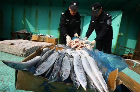 Break a Big Smuggling Case of Aquatic Products(with photo)