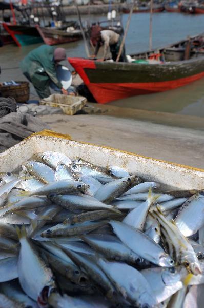 Annual summer fishing ban takes effect in S China