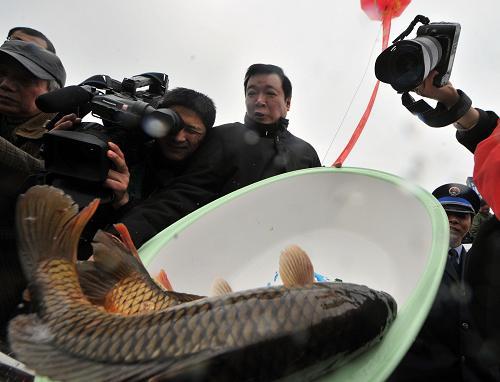 Rehabilitation of the fishing area in Chaohu