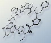 Breaking New Ground in Synthesis of Anti-cancer Agents
