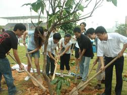 2009 graduates plant trees in 