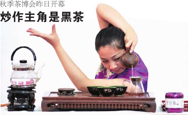 The 2010 China (Zhongshan) International Tea Expo opened