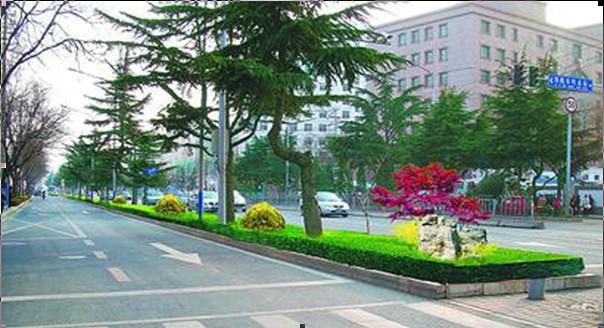 Shizhong District Will Make Full Efforts to Build up Roads with High Green Coverage in City Area
