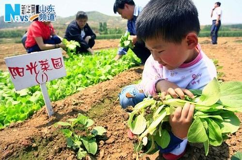 Real    Happy Farm    Appears in Jinan