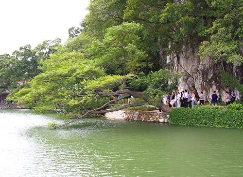 Zhaoqing Seven Stars Cave Scenic Park